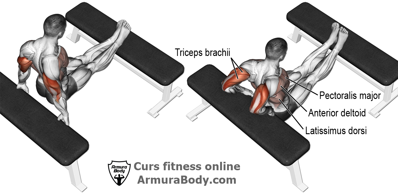 curs fitness instructor antrenor personal trainer antrenez corect biceps triceps antrenament exercitii brate