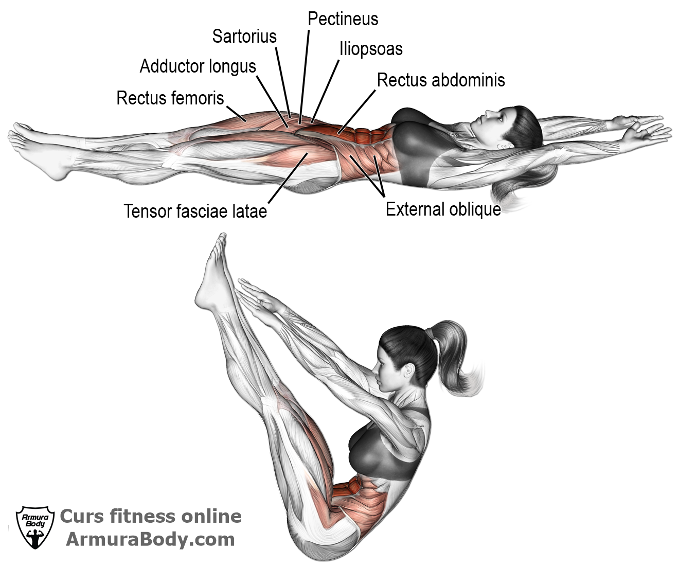 curs fitness instructor antrenor personal trainer antrenez abdomen antrenament exercitii