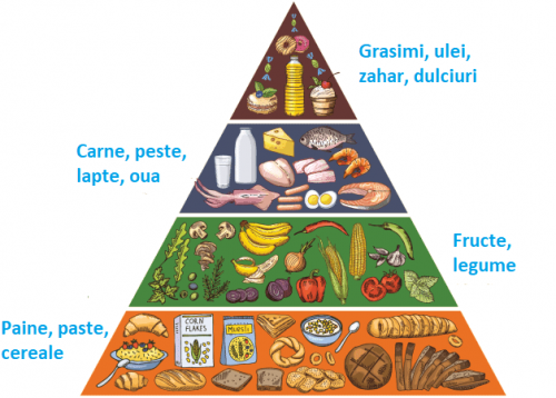 piramida alimentara 